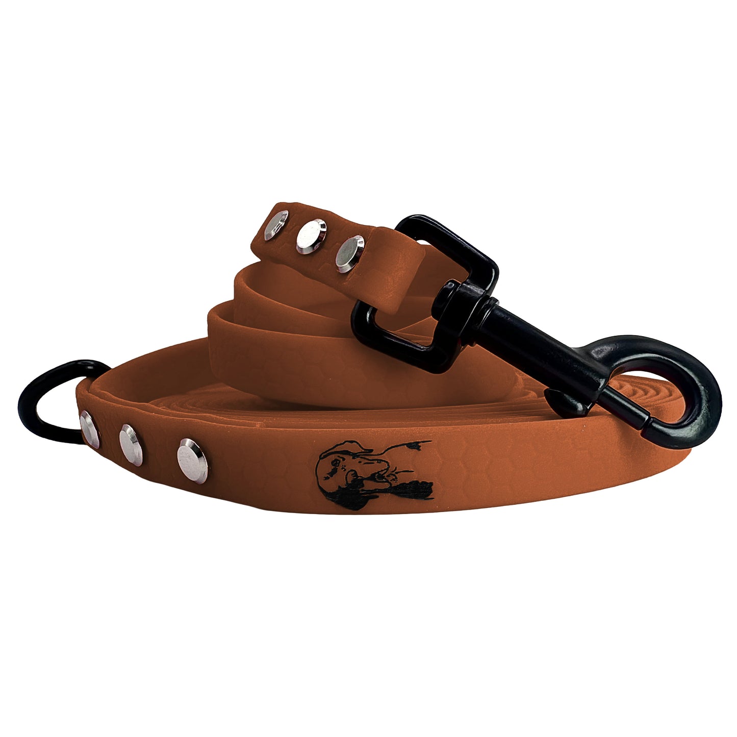 Guinzaglio Brandy - F13