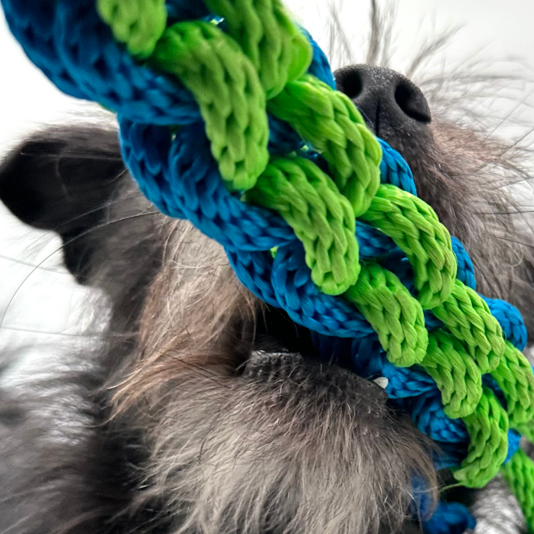 Giocattolo Tira e Molla - Scooby Doo - Verde\Blu e Rosa\Rosso