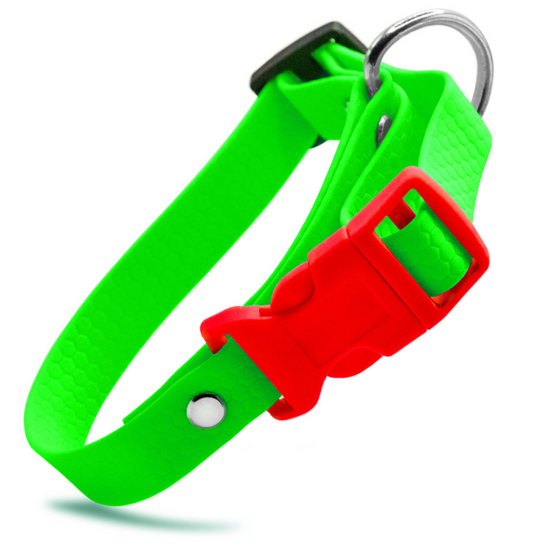 Collare Verde fluo