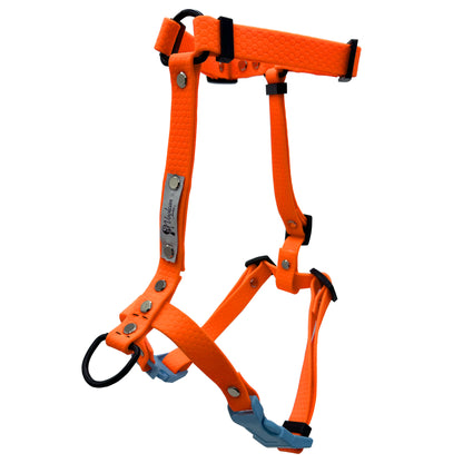 Pettorina H - Arancione XS\XXS