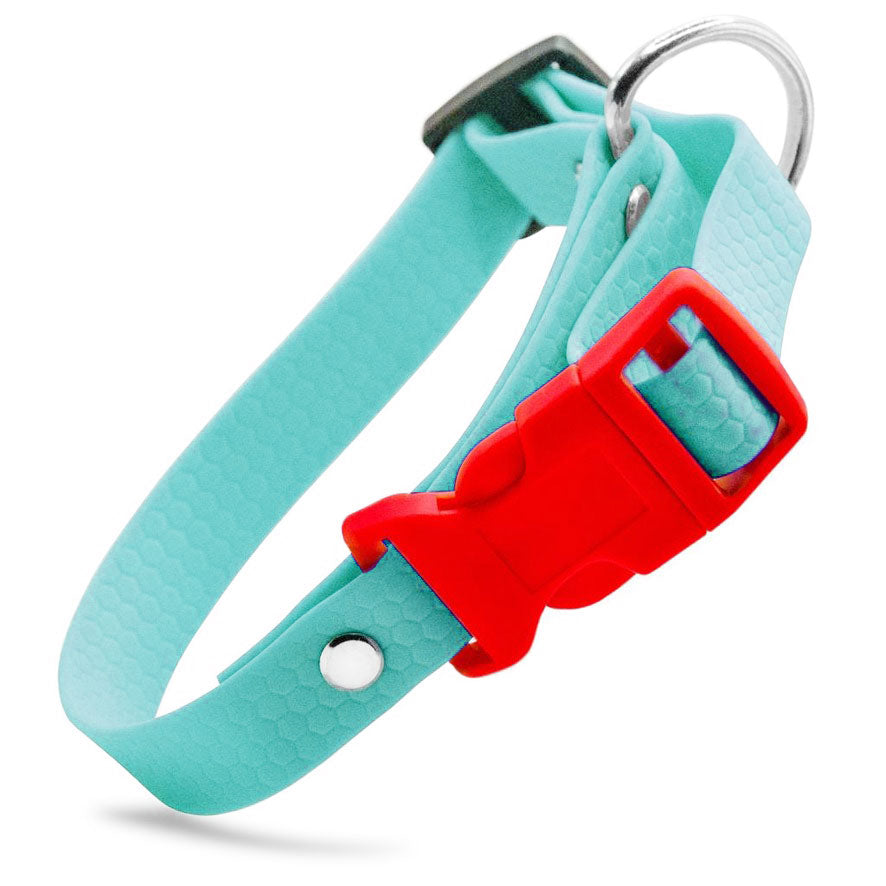 Collare Azzurro Acqua