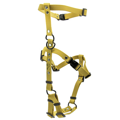 Pettorina Doppia H - Oro