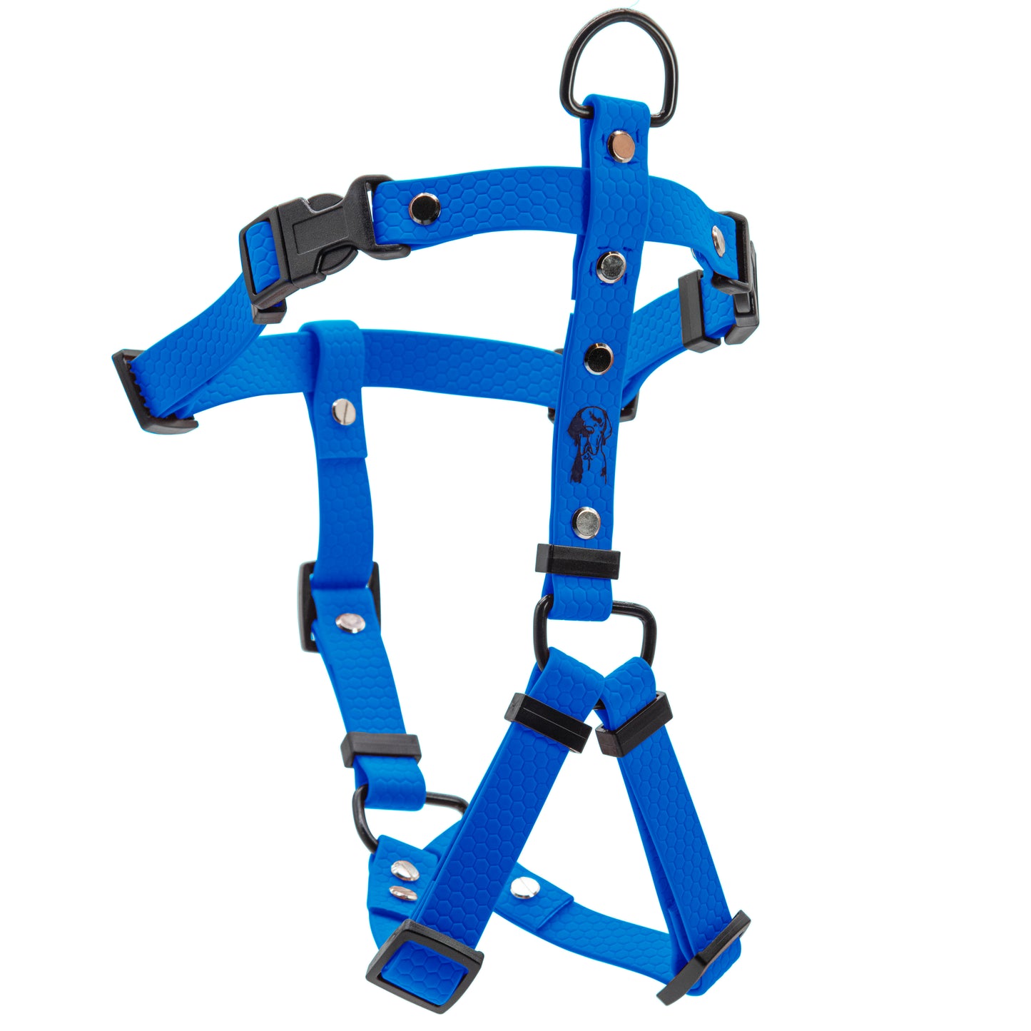 Pettorina H - Blu Elettrico
