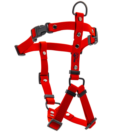 Pettorina H - Rosso