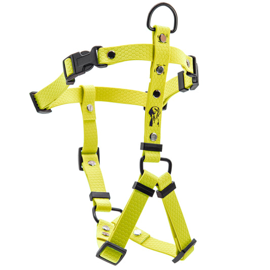 Pettorina H - Giallo Pastello