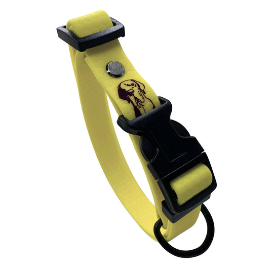 Collare Giallo Pastello F20