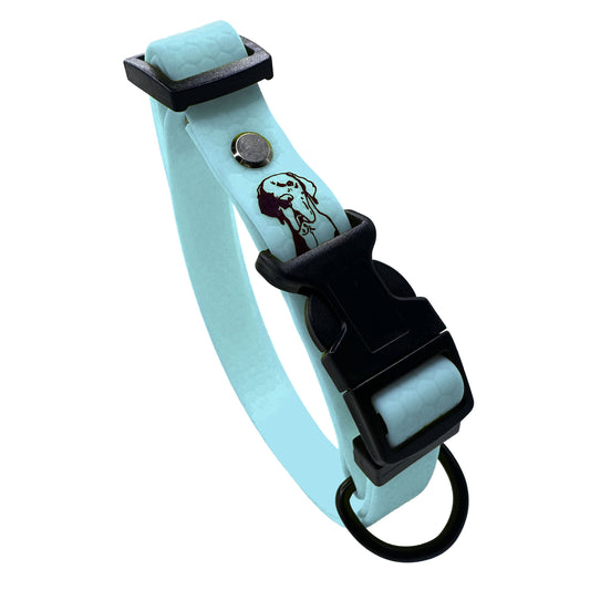 Collare Azzurro Acqua F20
