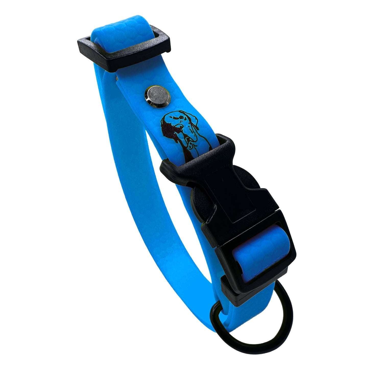 Collare Azzurro F20