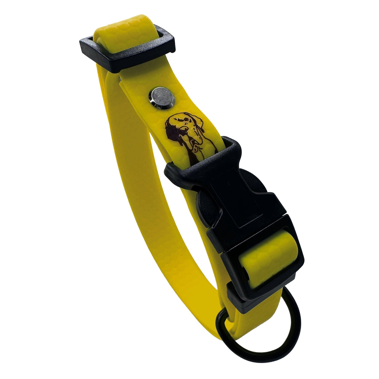 Collare Oro F20