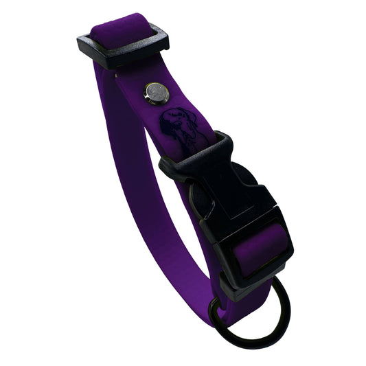 Collare Viola F20