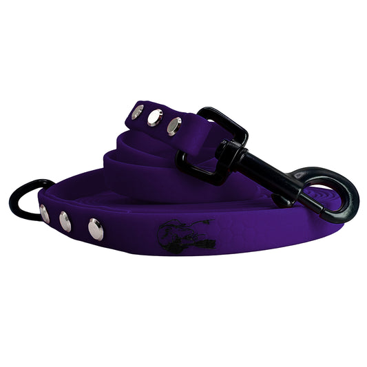 Guinzaglio Viola - F13