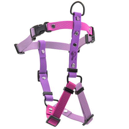 Pettorina H - Multicolor