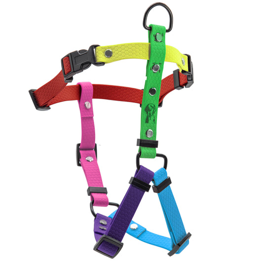 Pettorina H - Multicolor