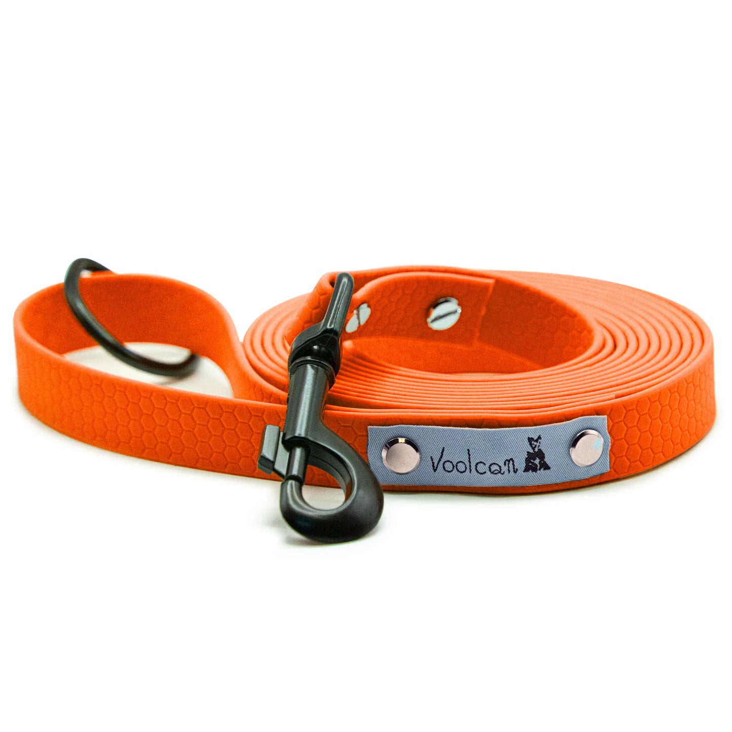 Guinzaglio - F 16 mm + New Colors