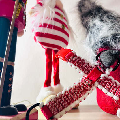 Pettorina H + INTRECCIO