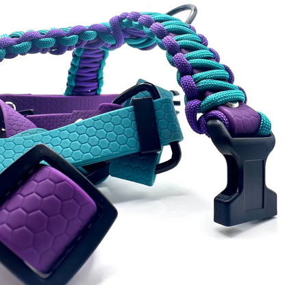 Pettorina H + INTRECCIO