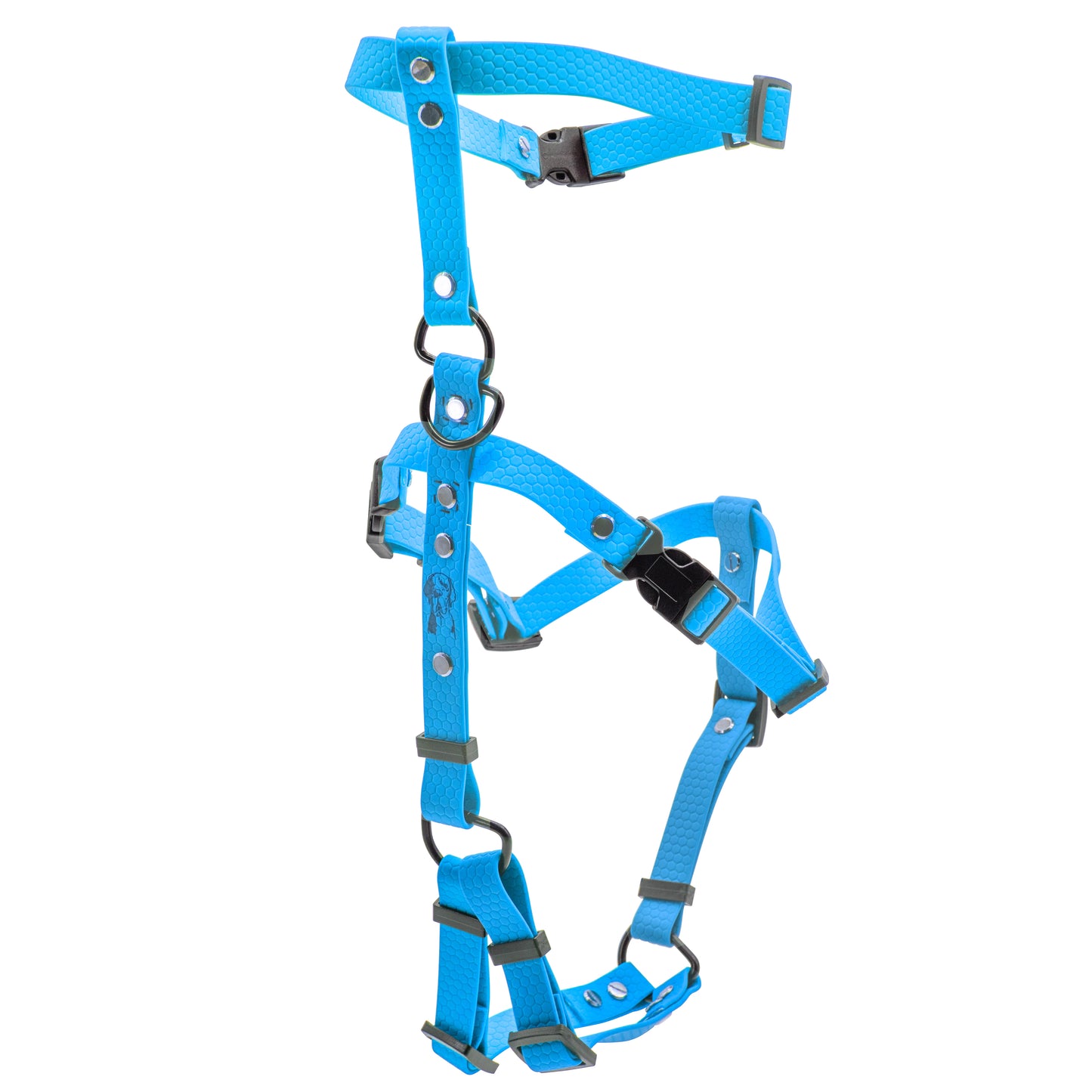 Pettorina Doppia H - Azzurro