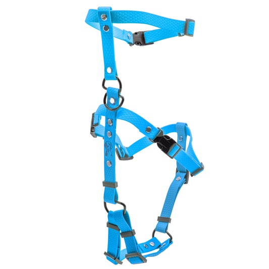 Pettorina Doppia H - Azzurro