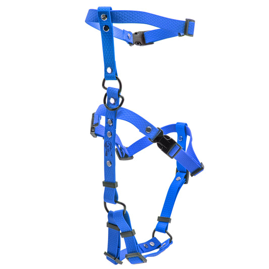 Pettorina Doppia H - Blu Elettrico