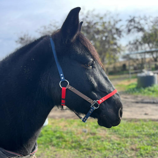 Capezza Morbida per Cavalli