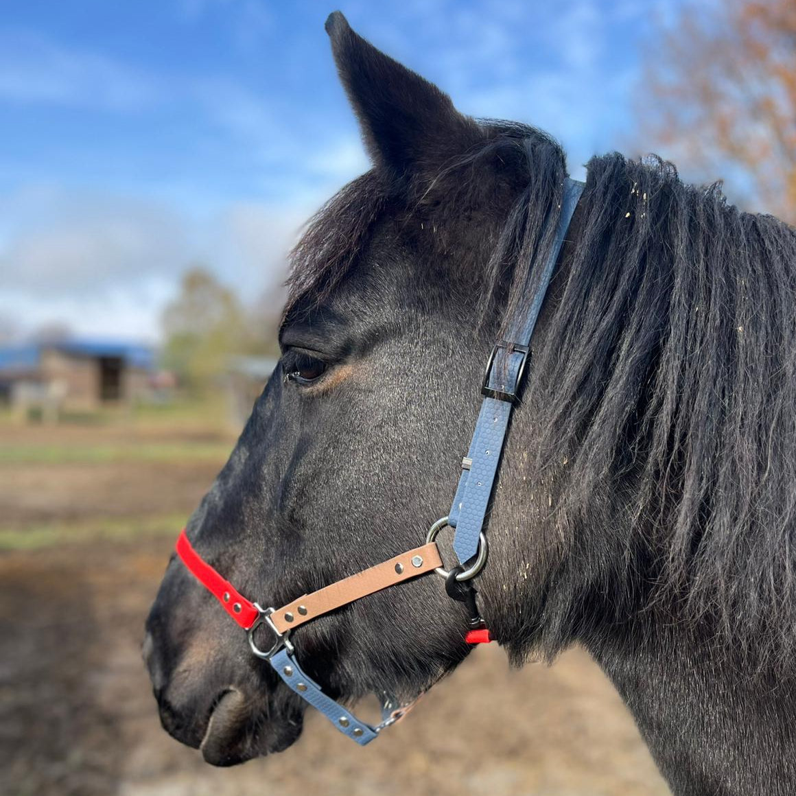 Capezza Morbida per Cavalli