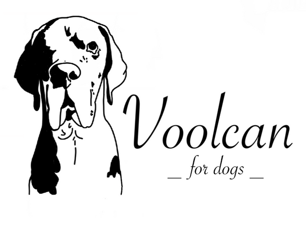 voolcanfordogs