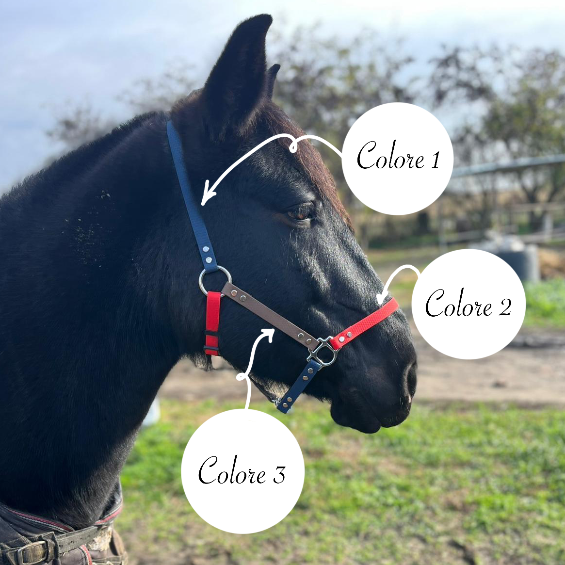 Capezza Morbida per Cavalli