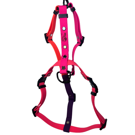 Pettorina H - TAGLIA M - Multicolor