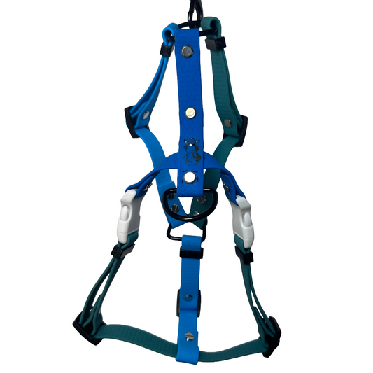 Pettorina H - TAGLIA S - Tricolor toni Blu