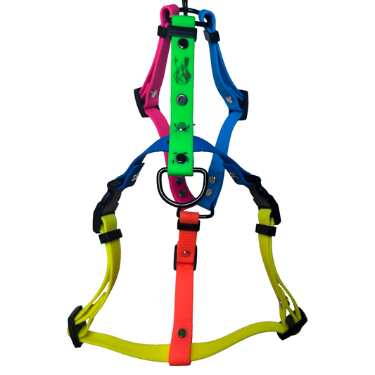 Pettorina H - TAGLIA S - Multicolor