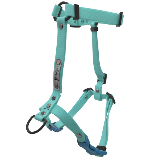 Pettorina H - Azzurro Acqua