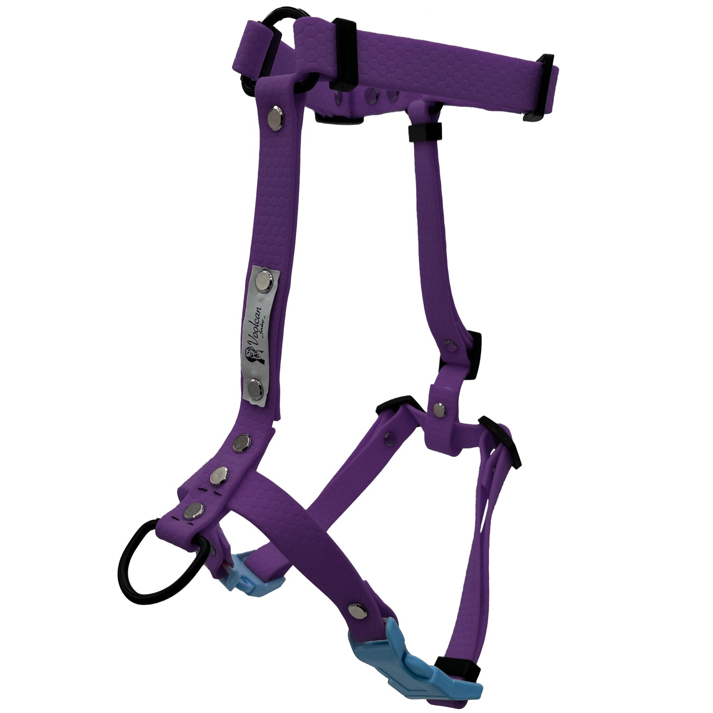 Pettorina H - Viola XS/XXS