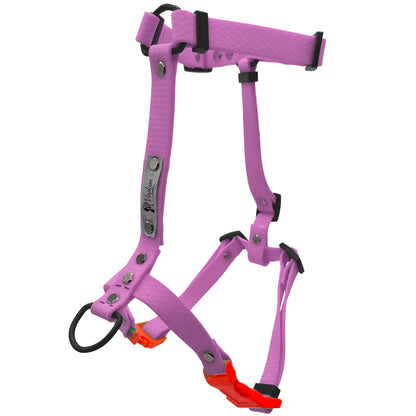 Pettorina H - Lilla XS\XXS